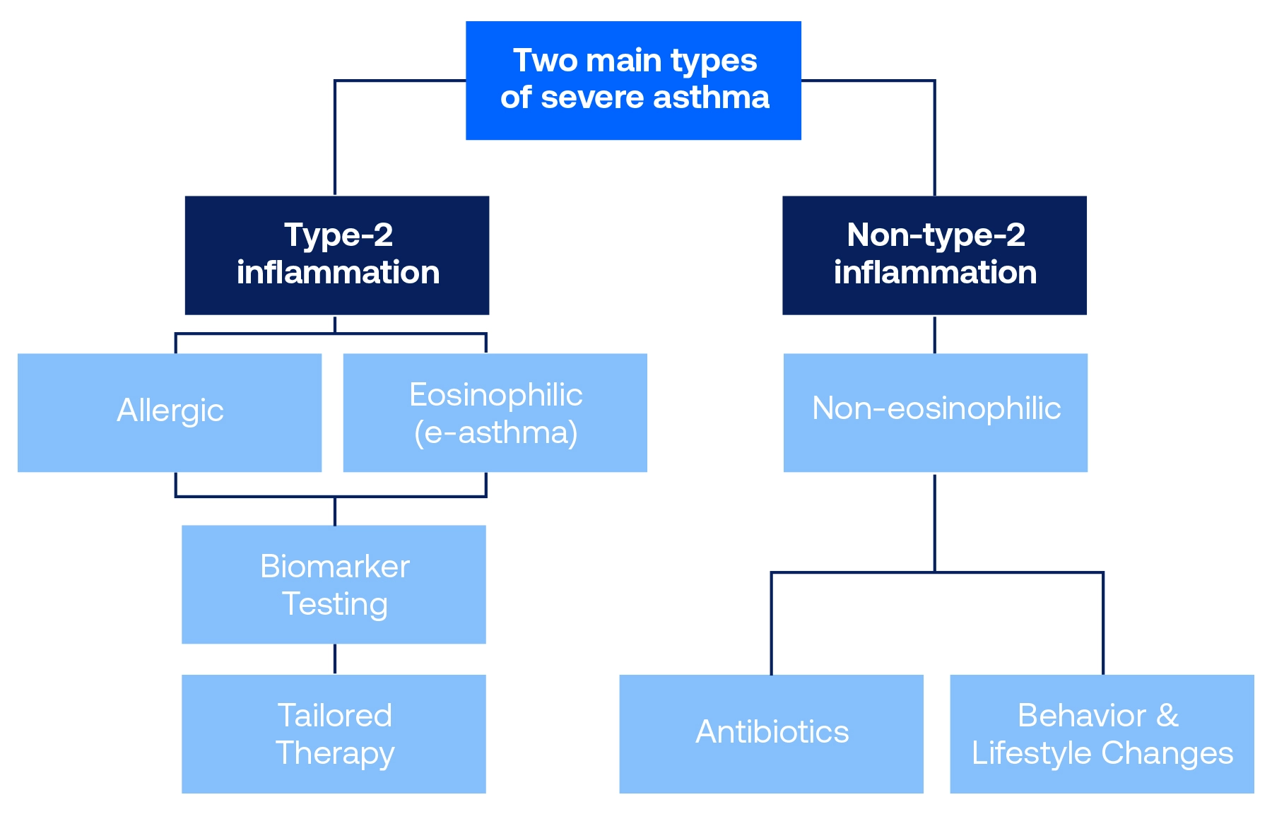 Tree chart showing the branches of the 2 main types of severe asthma: Type-2 inflammation and Non-type-2 inflammation