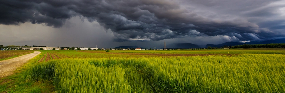 Field with dark storm clouds in the distance